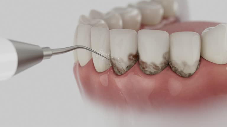 Reliable Dental contractor in Pleasant Ridge, MI by Dentist Open Now